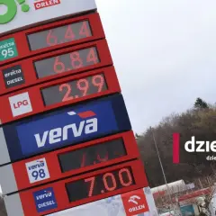 Efecta czy Verva Diesel? Porównanie, różnice i korzyści dla silnika