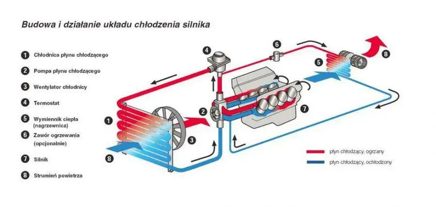 Jak działa chłodnica? Sekret sprawnego silnika krok po kroku