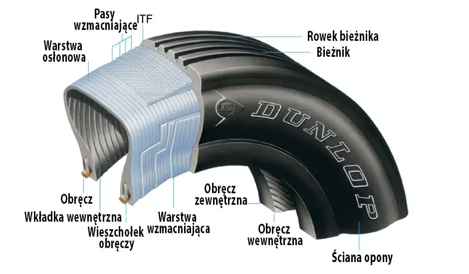 przekr&oacute;j opony radialnej budowa